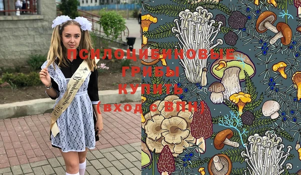 МДПВ Аркадак
